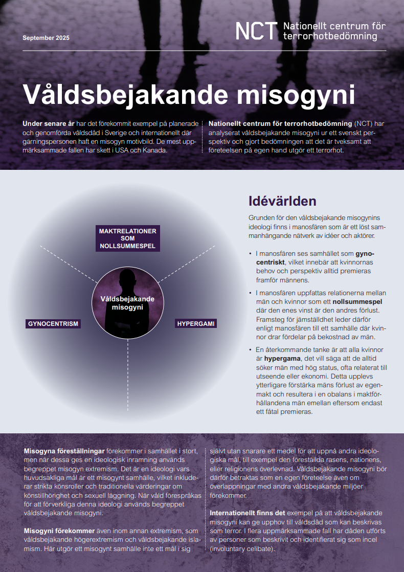 Länk till Våldsbejakande misogyni